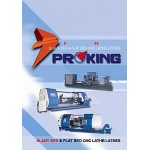 Proking